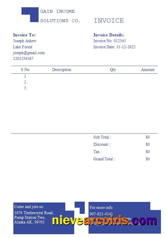 Accountancy Firm Invoice